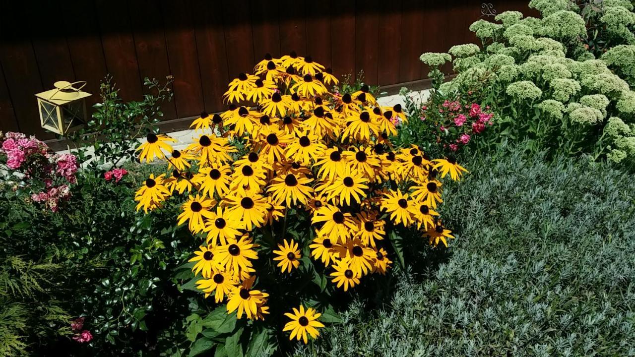 וולדן אם וורתרסי Ferienwohnungen Oranhof מראה חיצוני תמונה